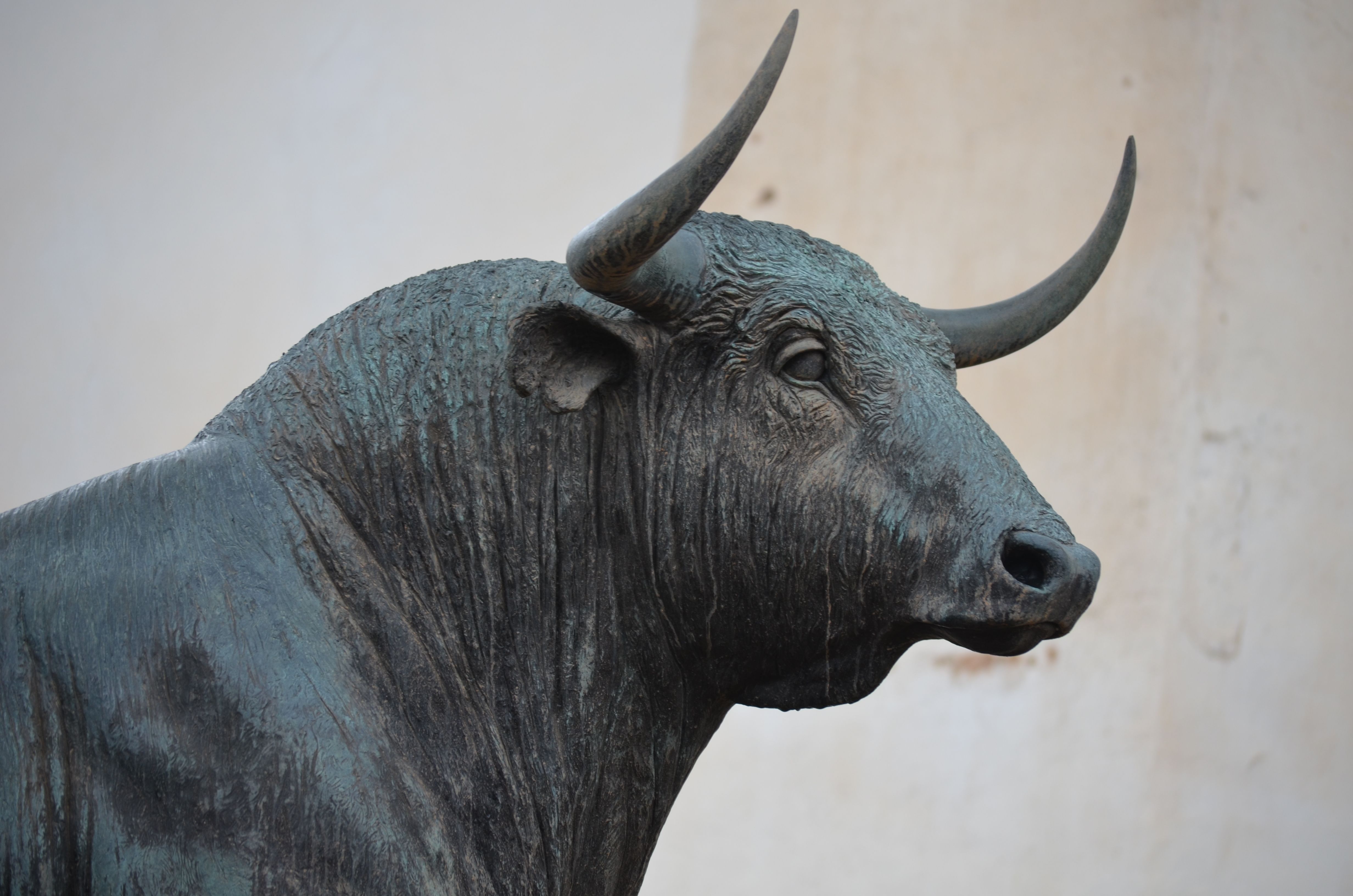 IPO விண்ணப்ப ஓட்டம் — தரகரிலிருந்து டிமேட் வரை